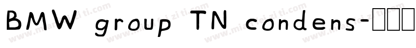 BMW group TN condens字体转换